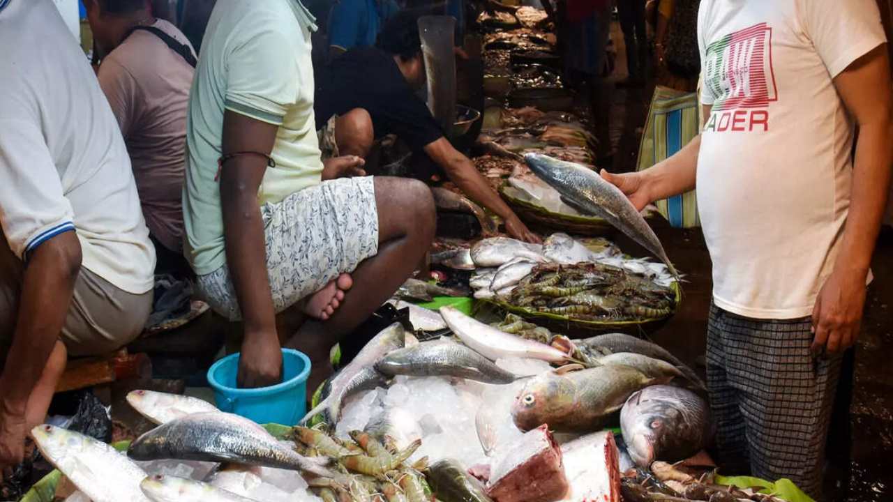 Hilsa Fish price before jamai shoshthi 