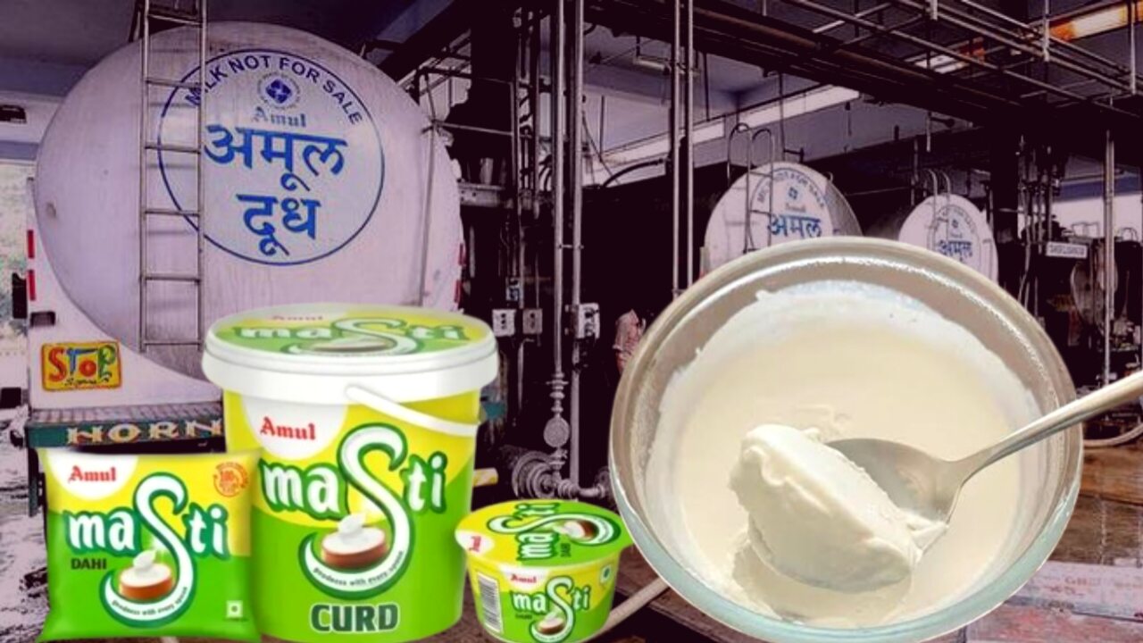 বাংলায় আমুলের ৬৫০ কোটির বাজি! বিশ্বের বৃহত্তম দই কারখানা গড়ছে এই জেলায়