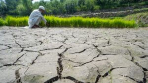 El Nino is raising concerns in India, government prepares action plan.