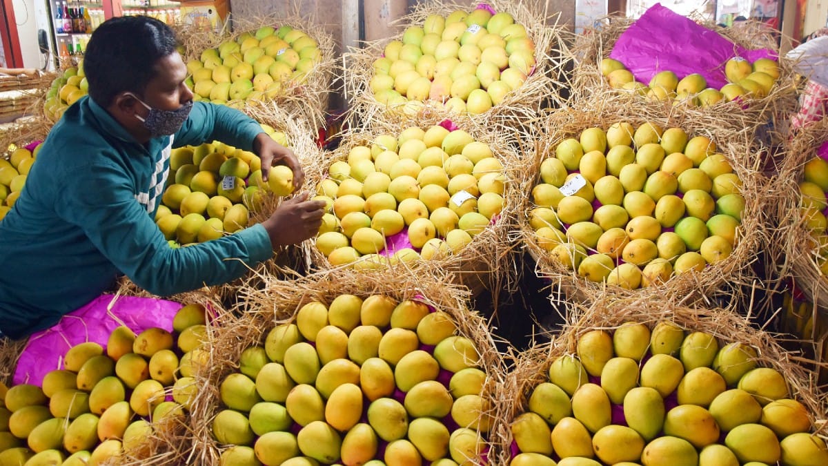 How to check if mango is naturally ripe 