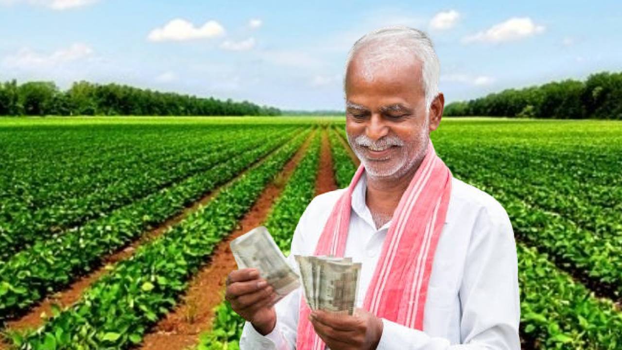 কৃষক বন্ধুর বদলে বাংলাতেও পিএম কিষাণ যোজনা! কী সুবিধা হবে জানুন