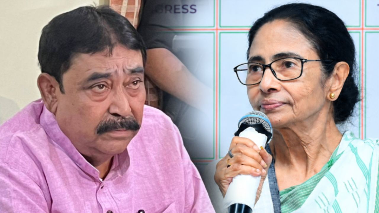 ‘শেষ দিকে কার পাল্লায় পড়লেন বুঝলাম না’, মমতাকে নিয়ে ইঙ্গিতপূর্ণ মন্তব্য অনুব্রতের
