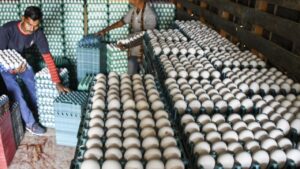 What is the secret behind the increase in egg price hike?