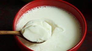 The water at the bottom of curd can be a superfood, know why ?
