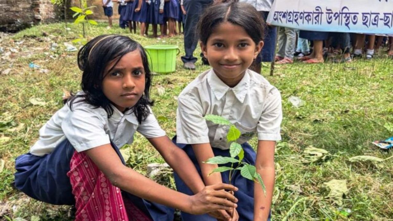 শুধু ক্লাস নয়, এবার গাছ লাগানোর দায়িত্বও পড়ুয়াদের কাঁধে!