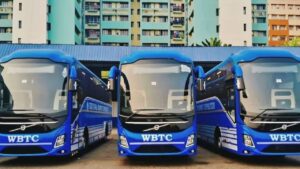 Free Bus confused about how to identify government buses