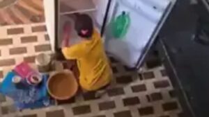 Fridge fatal mistake while cleaning woman loses her life
