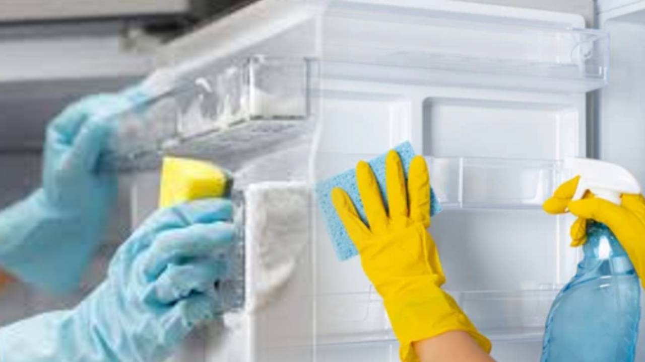 Fridge fatal mistake while cleaning woman loses her life