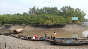 Sundarban from June 17 to 22 guidelines issued for the closure of tourist entry