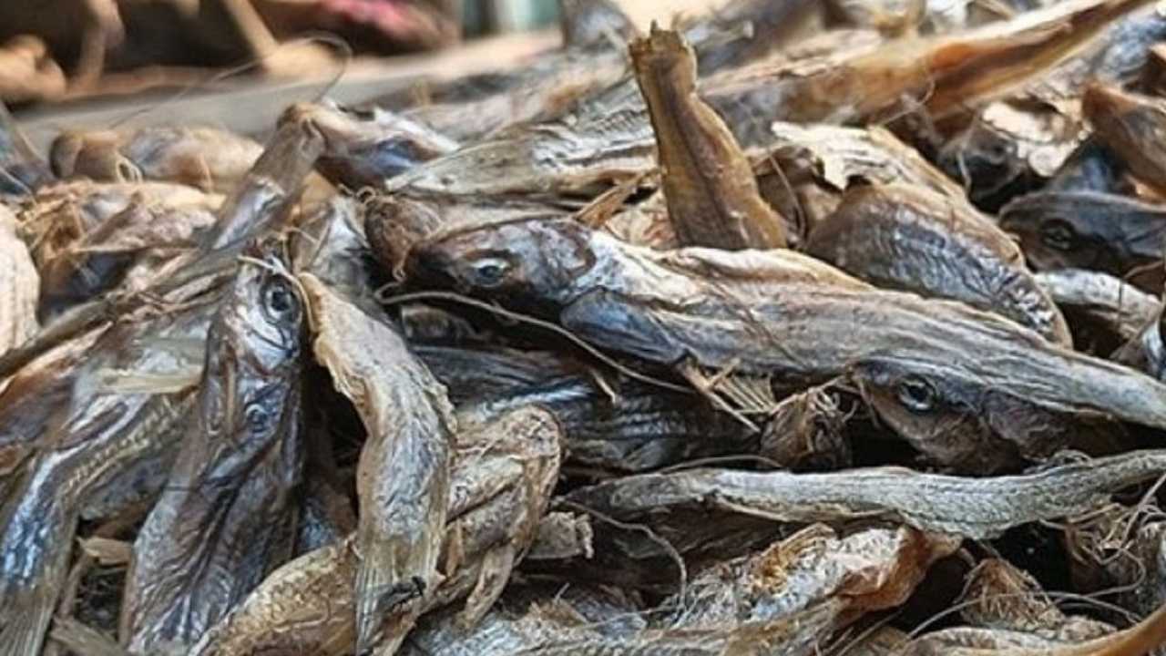 Cooking tips for shutki fish 