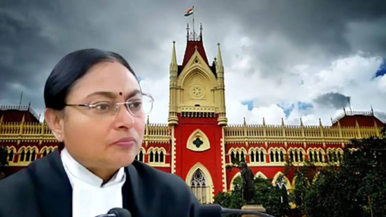 ভুয়ো নথি দিয়ে বিভ্রান্ত করার চেষ্টা! আবেদনকারীকে নিয়ে কড়া নির্দেশ হাইকোর্টের, কোন মামলায়?