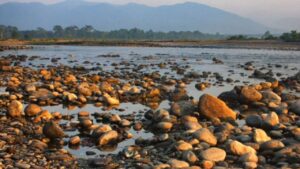 Travel 5 places in Dooars will surely mesmerize you during the monsoon