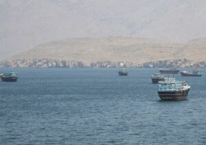 60 ships safely reached India from Hormuz; 3,972 sailors returned.