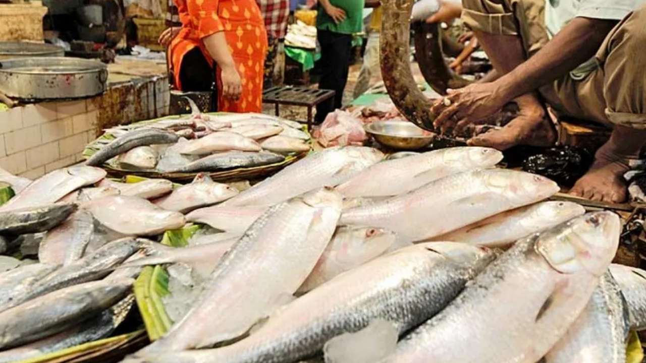 Will hilsa fish price go down before pujo 
