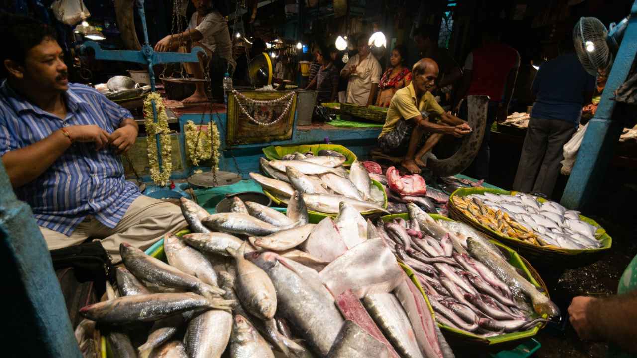 This market has fresh hilsa fish 