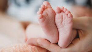 Learn how to easily make a digital birth certificate