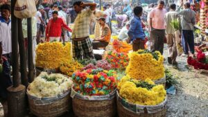 Government plans to increase exports in Mallick Ghat flower market
