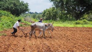 Update of 24th installment of PM Kisan