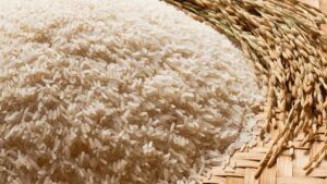 West Bengal rice will now be exported to the global market