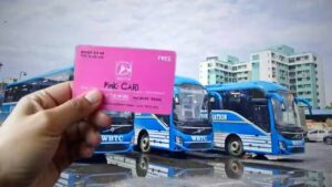 How to make pink card for free bus service online and offline process explained