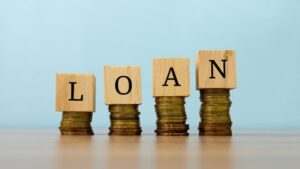 In which sectors are Indians taking the most loans?