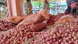 Onion price increasing, what is the government's plan.