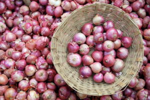 Onion price increasing, what is the government's plan.