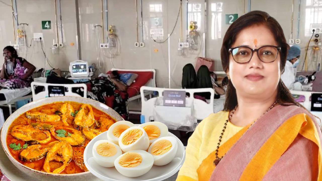 সরকারি হাসপাতালের রোগীদের মাছ, ডিম, চিজ! মেনুতে আর কী কী? জানালেন রাজ্যের প্রতিমন্ত্রী