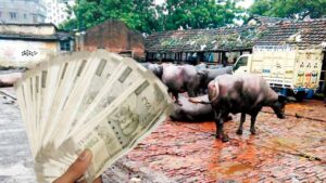 Uttar Pradesh new Government scheme giving opportunity to sell cow urine
