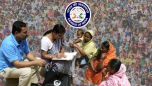 What happens if you give wrong information in Census 2027 explained