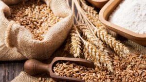 India to resume wheat exports to the global market; ban lifted.