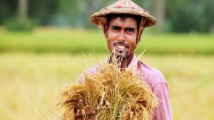 Krishak Bandhu funds document verification is underway
