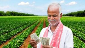 Krishak Bandhu funds document verification is underway