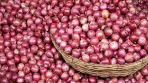 Onion Price may rise again