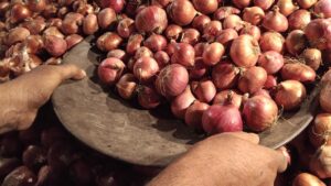 Onion Price may rise again