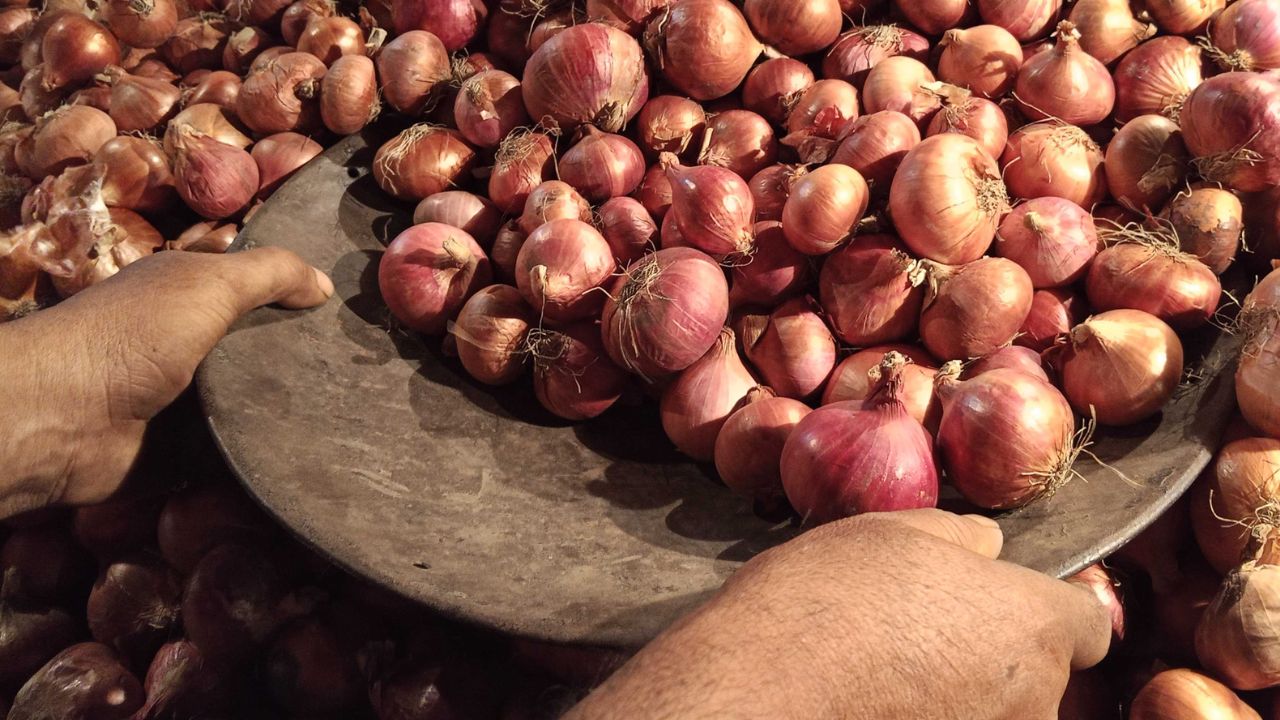 Onion Price may rise again