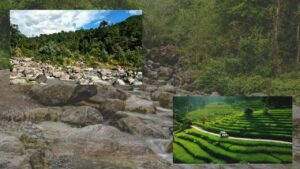 Travel Palakhola the best destination for monsoon camping