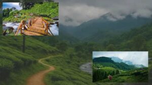 Travel this village in North Bengal