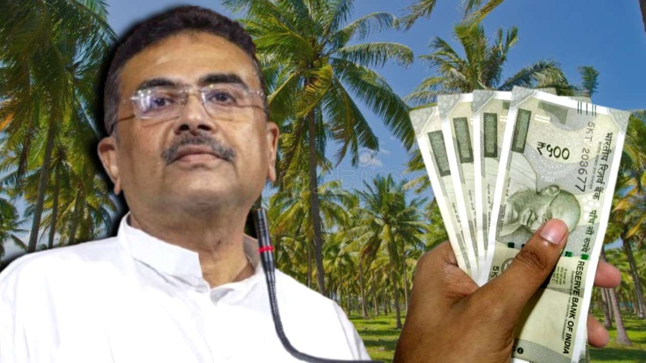 নারকেল গাছ লাগালেই মিলবে টাকা! সরকারের এই সুবিধা কীভাবে পাবেন? জানুন