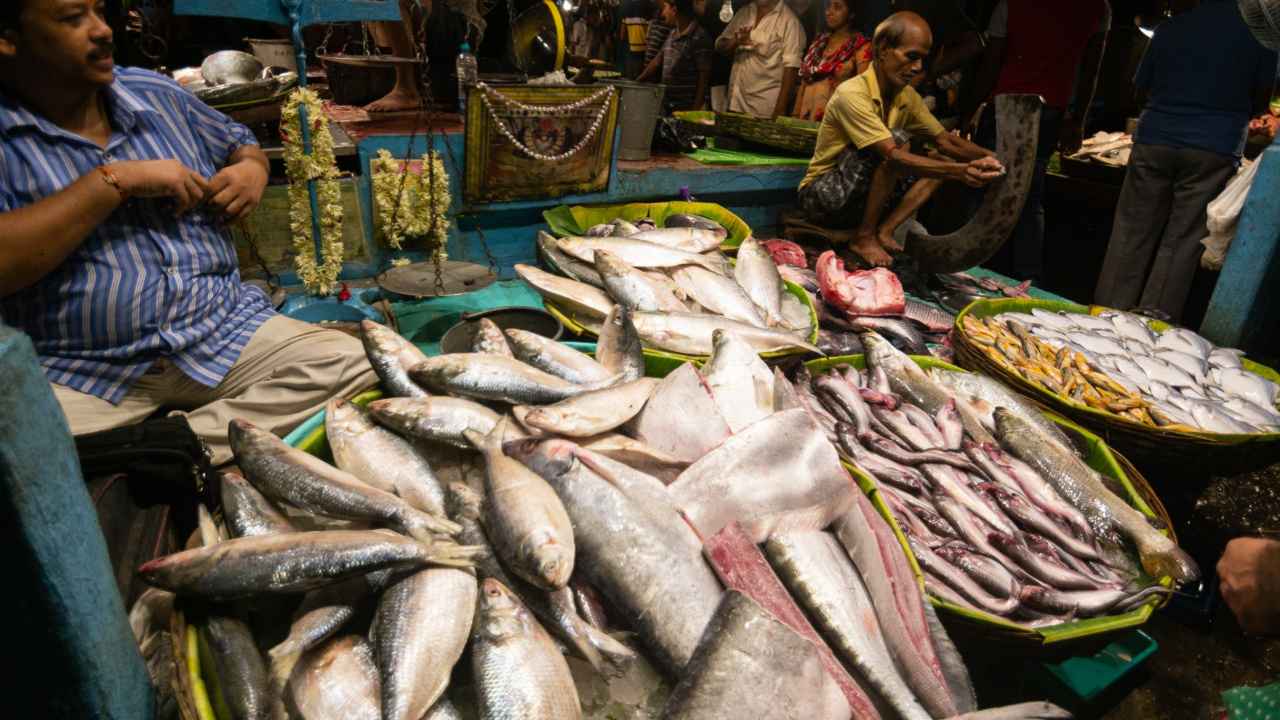 Cutting technique of hilsa to obtain perfect flavours 