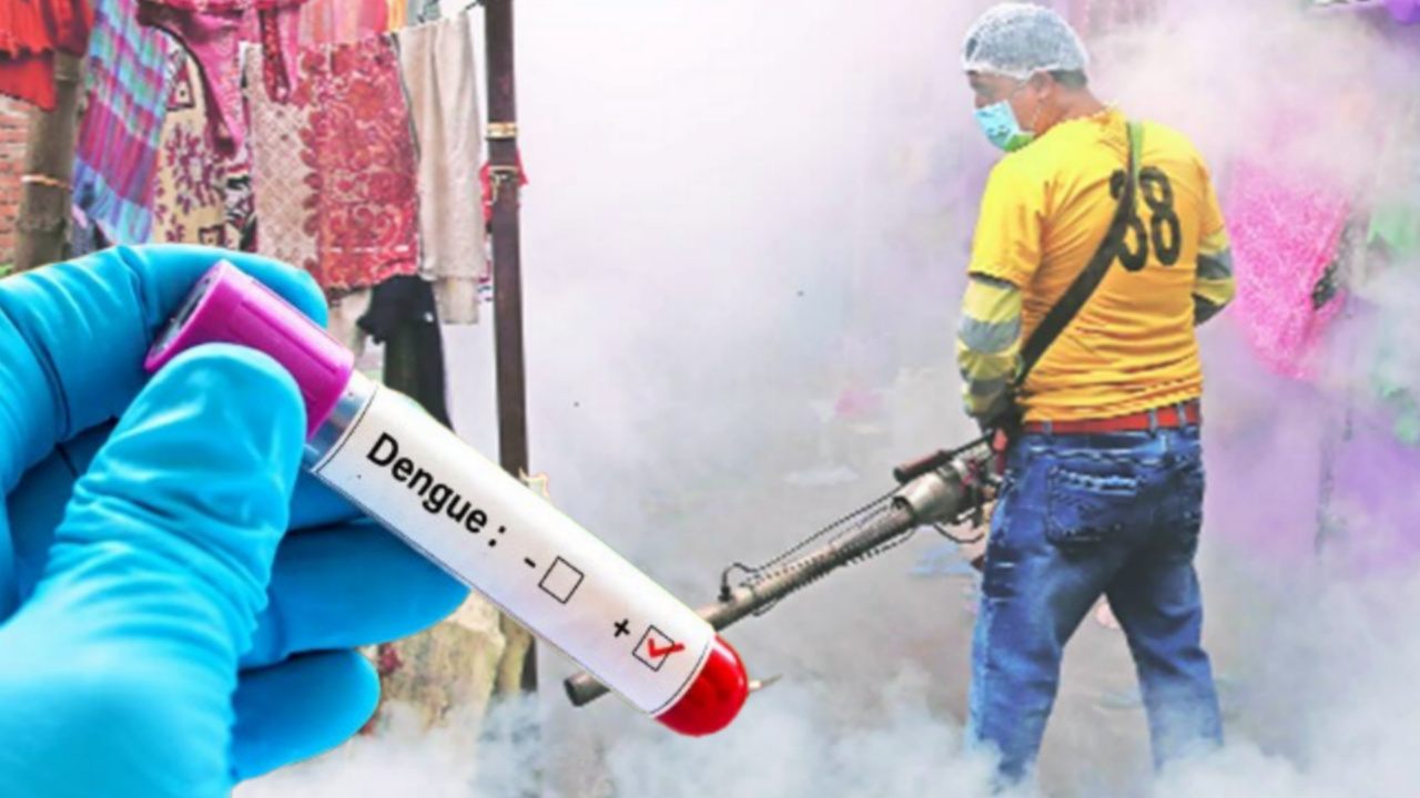 Dengue is widely spreading in West Bengal 