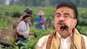 West Bengal Government Decided 20% Bonus for Tea Workers