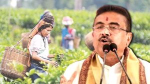 Dooars Tea Workers Get 20% Durga Puja Bonus