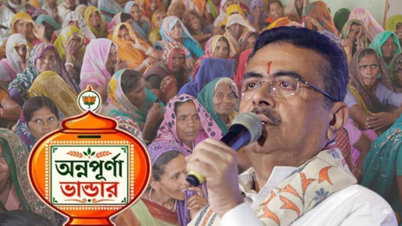 Annapurna Yojana vs Widow Pension state has ordered to choose any one scheme