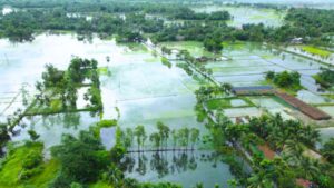 Here is how to apply for PM Fasal Bima Yojana if crops damaged