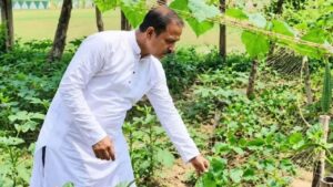 Nutrition boosts in mid day meal through cultivation in school ground