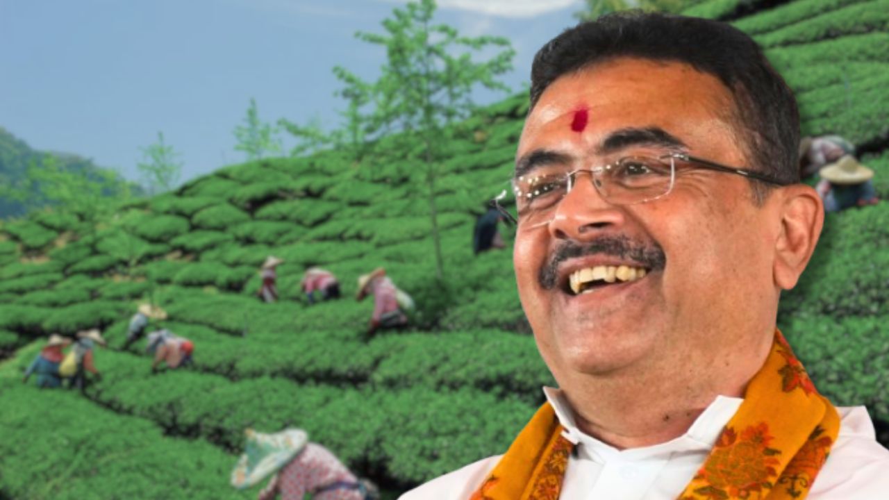 Process of clearing outstanding Provident Fund dues for tea garden workers begins.