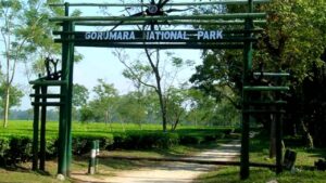 Gorumara National Park