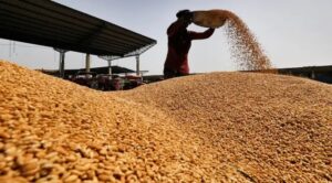 Big announcement regarding Minimum Support Price of 6 Rabi crops including wheat.