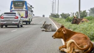 Ministry of Road Transport and Highways has issued an important circular.